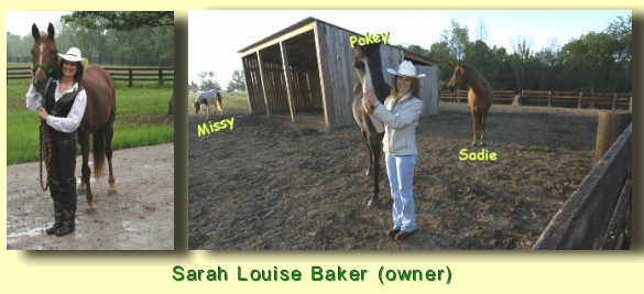 Sarah Louise Baker Owner