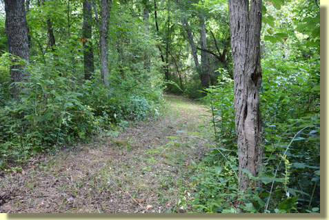 hiking path