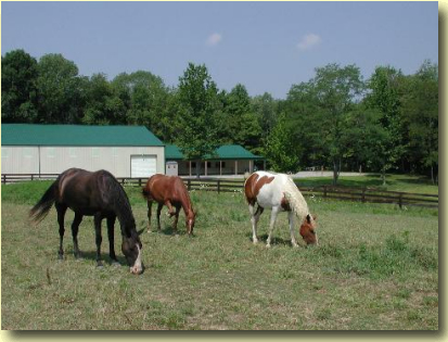 horse farm tours ohio